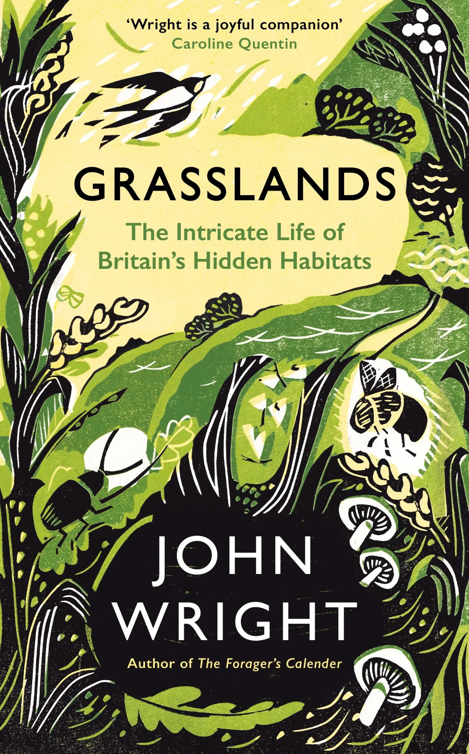 Grasslands cover