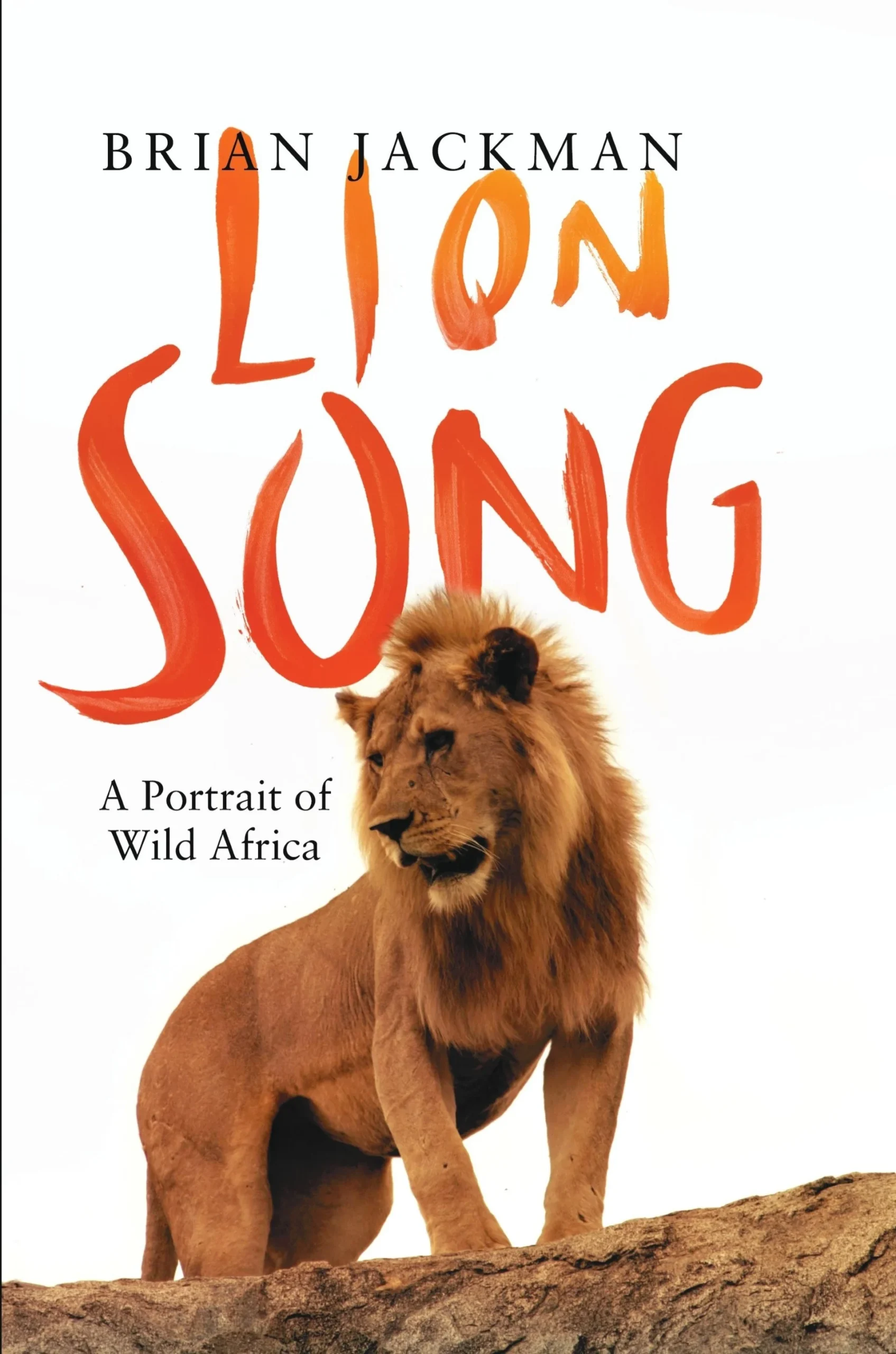 Lion Song cover